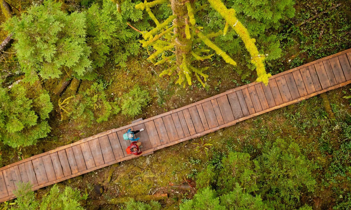Two people walk a wooden boardwalk in a mossy green forest.