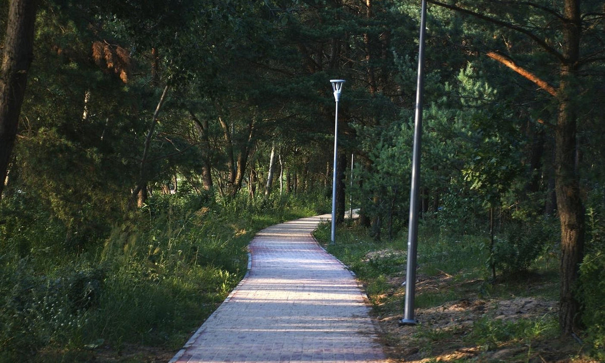 Beautiful cobblestone hiking trail through the forest.