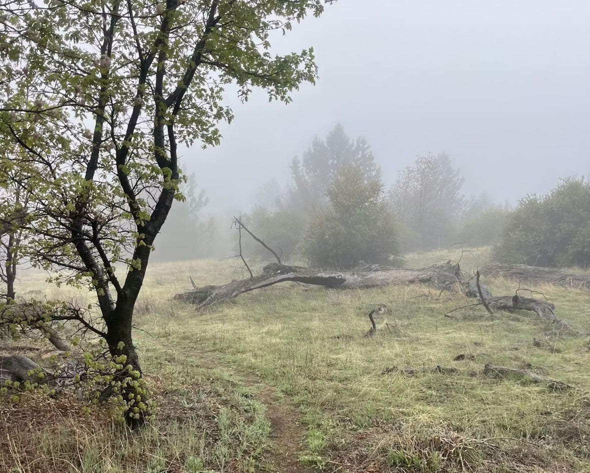 A view while training for the Sand Diego 100 in the Oboz Katabatic LT hiking shoes.