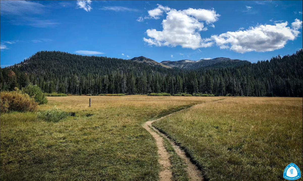 Scenic mountain views from the Tahoe Rim Trail on a sunny day