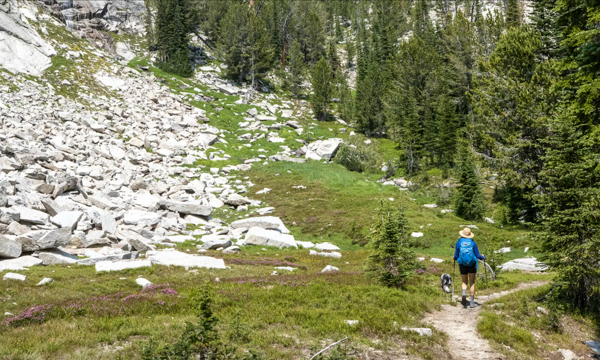 Woman trekking through the mountains in Oboz hiking shoes with dog 