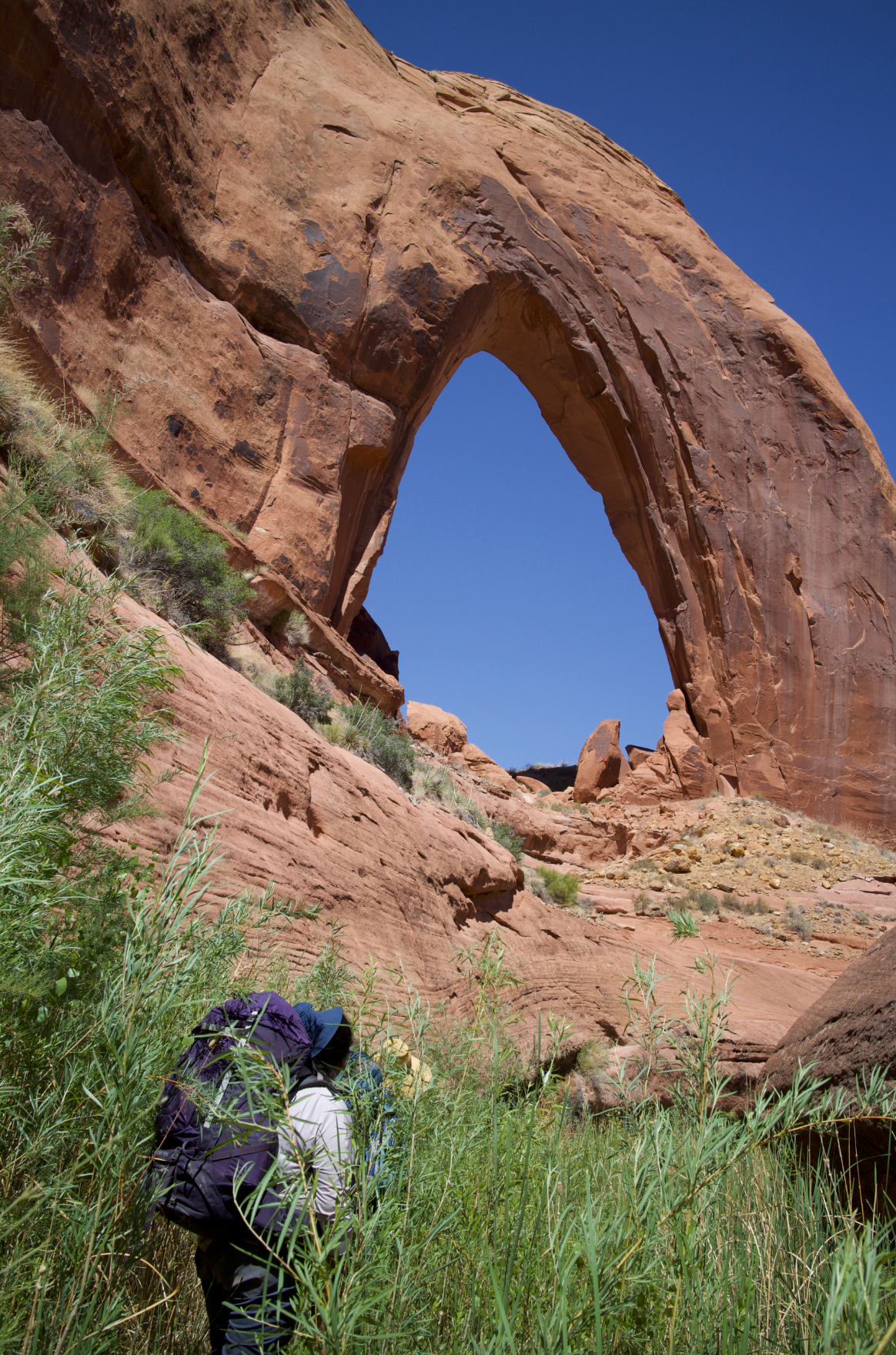 Ross Davison, Wild Gift Fellow hiking in tall grass.