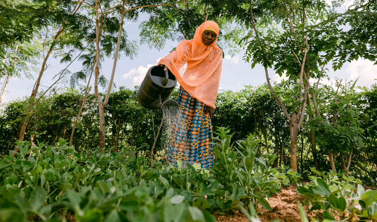 Woman watering plants in a One More Tree farming facility.