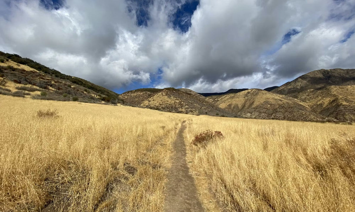 Mountains in the background on the Sespe River Trail.