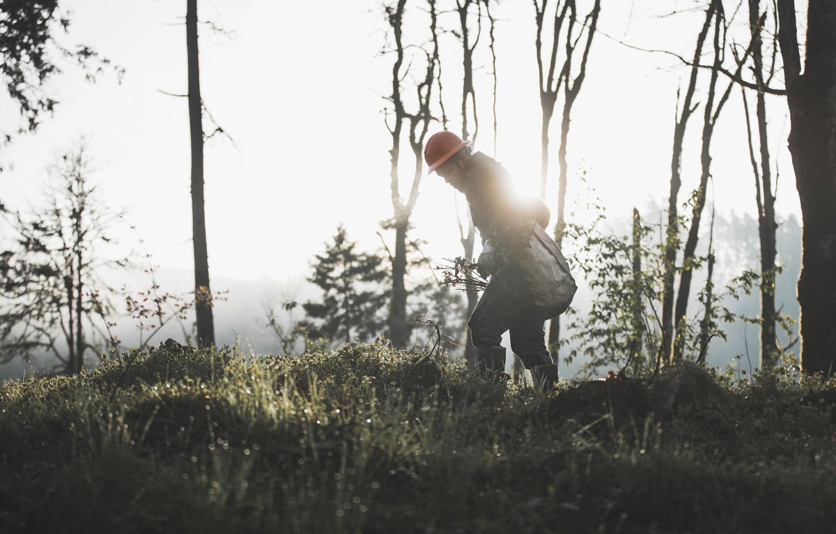 Oboz Footwear partner veritree helping plant trees for reforestation. 