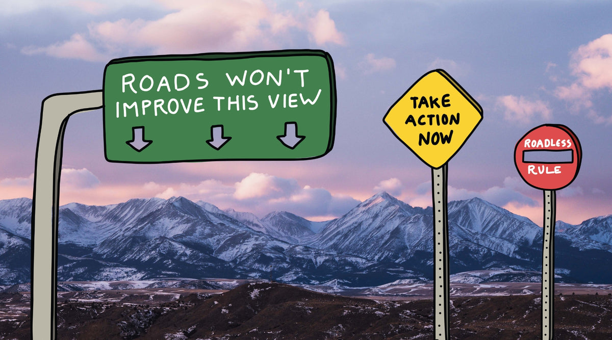 Cartoon-style road signs with roadless rule information against a mountainous landscape.
