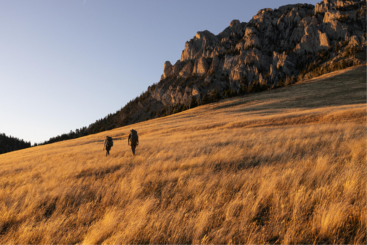 Two hikers walking on a grassy hill with a mountain in the background