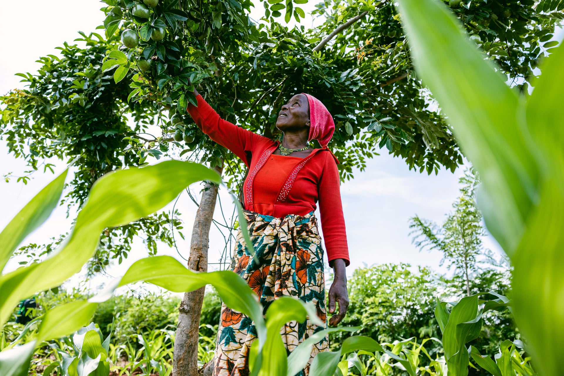 Woman in a red shirt and patterned skirt standing among green plants