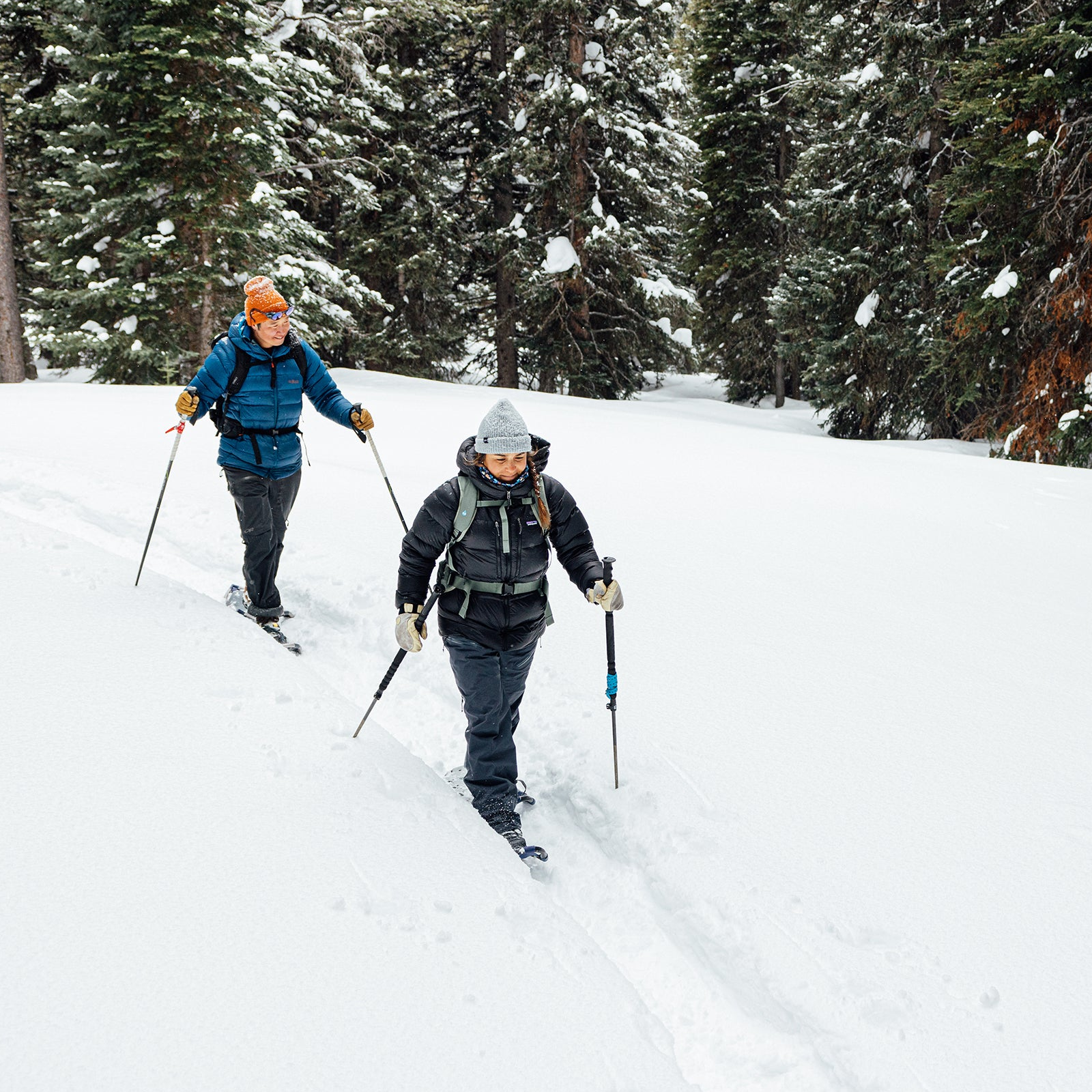 Two people snowshoeing through a snowy forest.