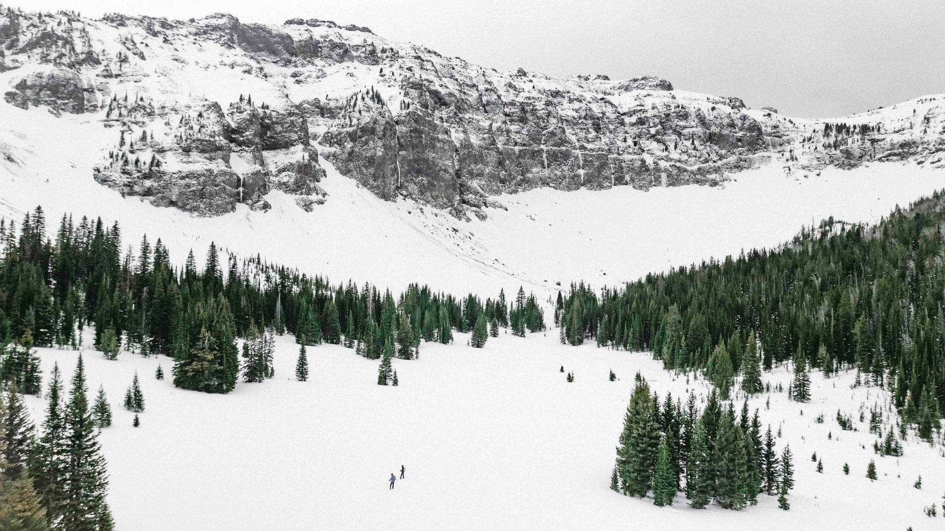 Snowy mountain landscape with evergreen trees