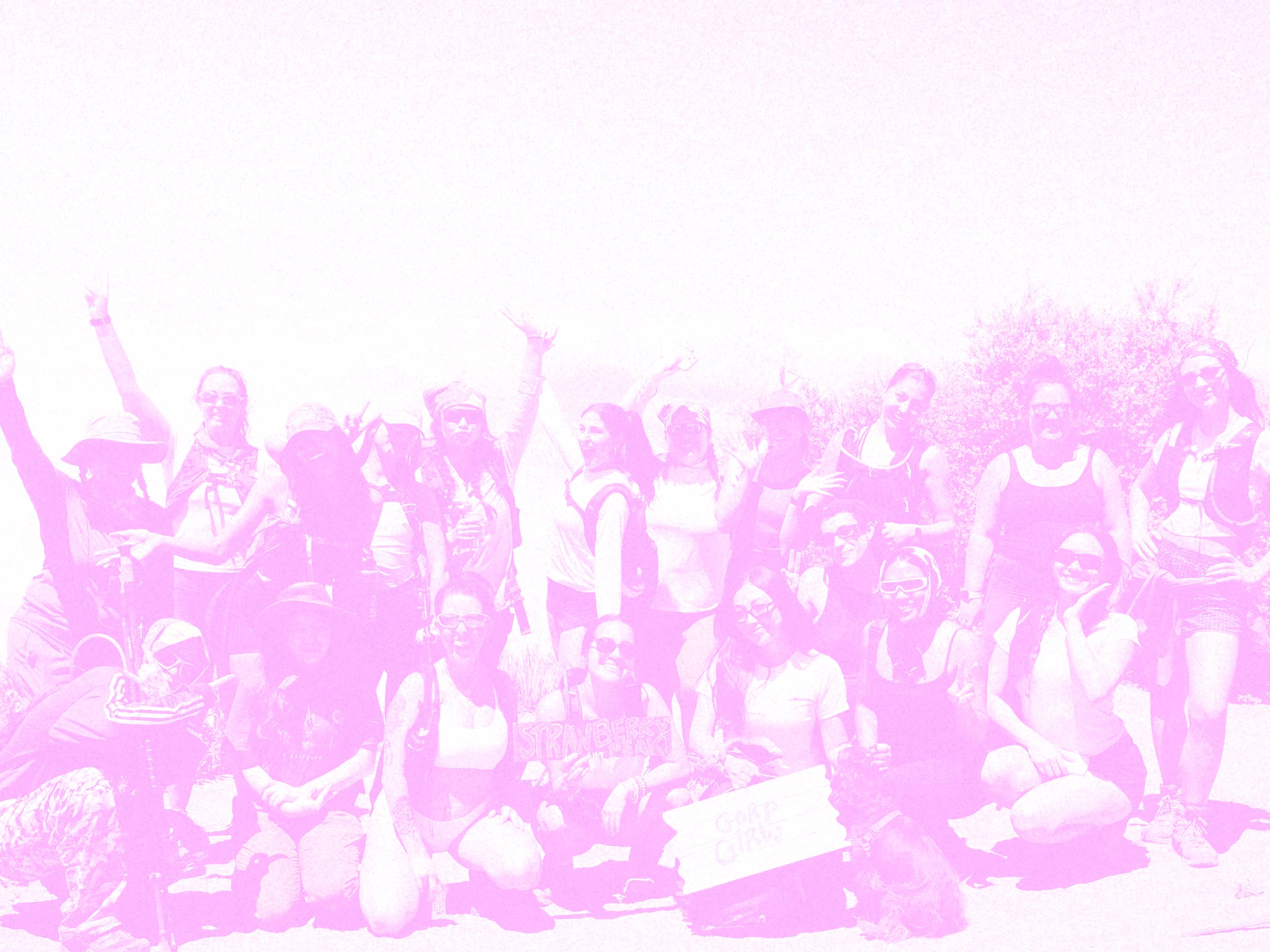 Pink silhouette of a crowd of people on a white background