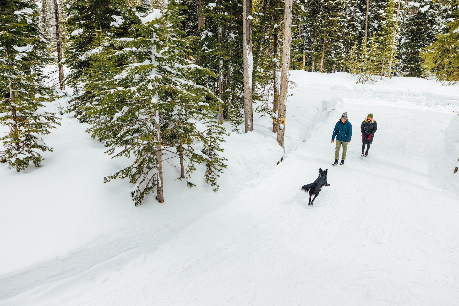 Two people walking a dog on a snowy trail through a forest