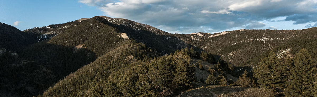 trail <em>community</em>