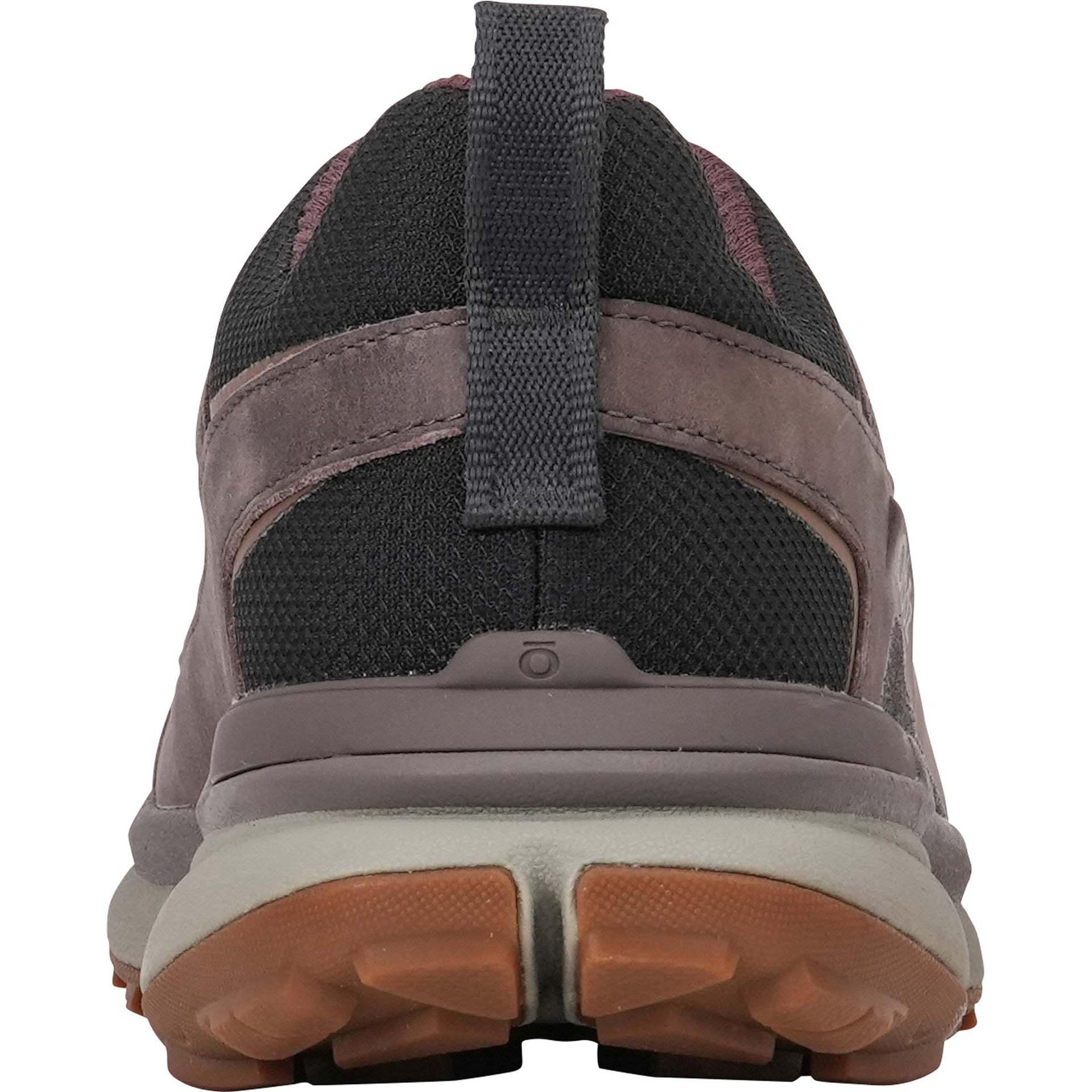 Back view of the Men's Hyalite Low Waterproof hiking shoe in the Eagle color showing the heel pull.