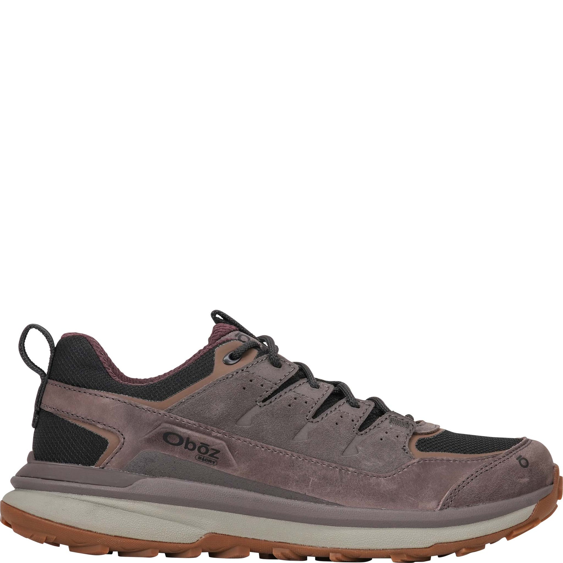 Outside view of the Men's Hyalite Low Waterproof hiking shoe in Eagle purple.