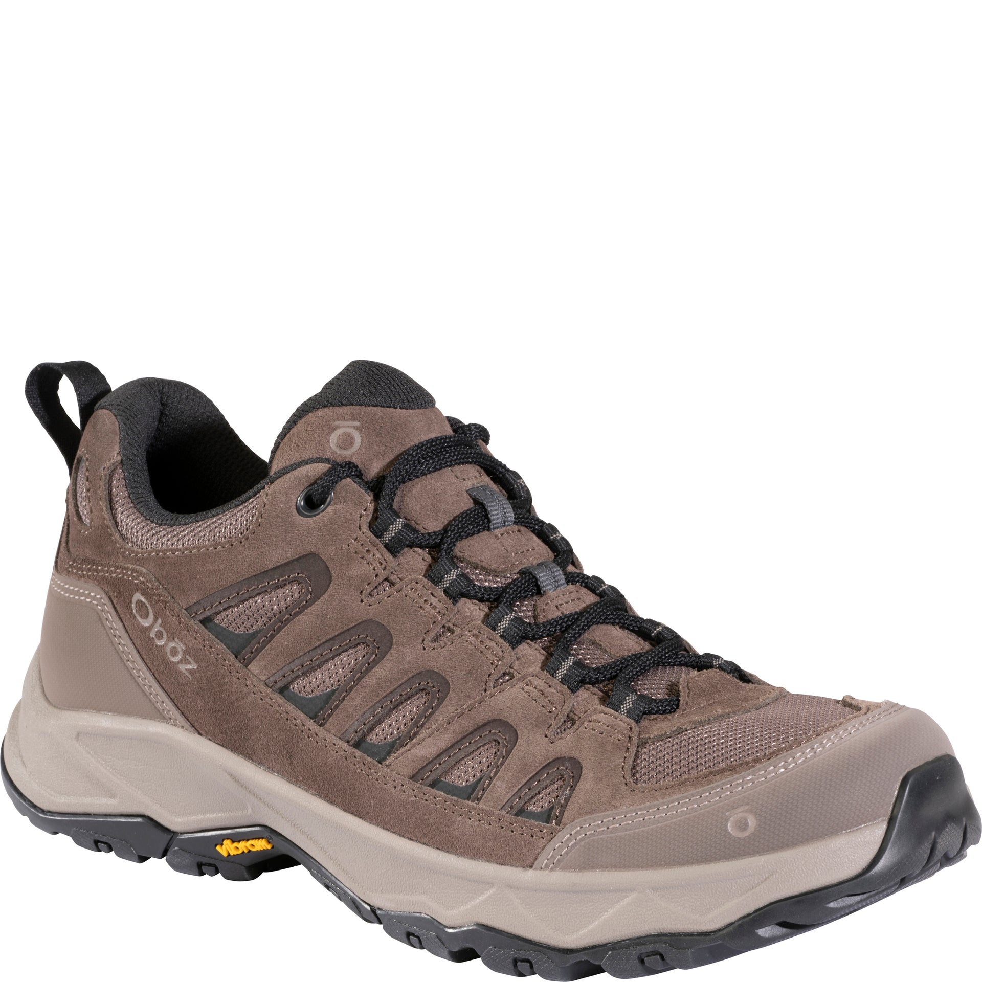 Men's Sawtooth Ascent Low