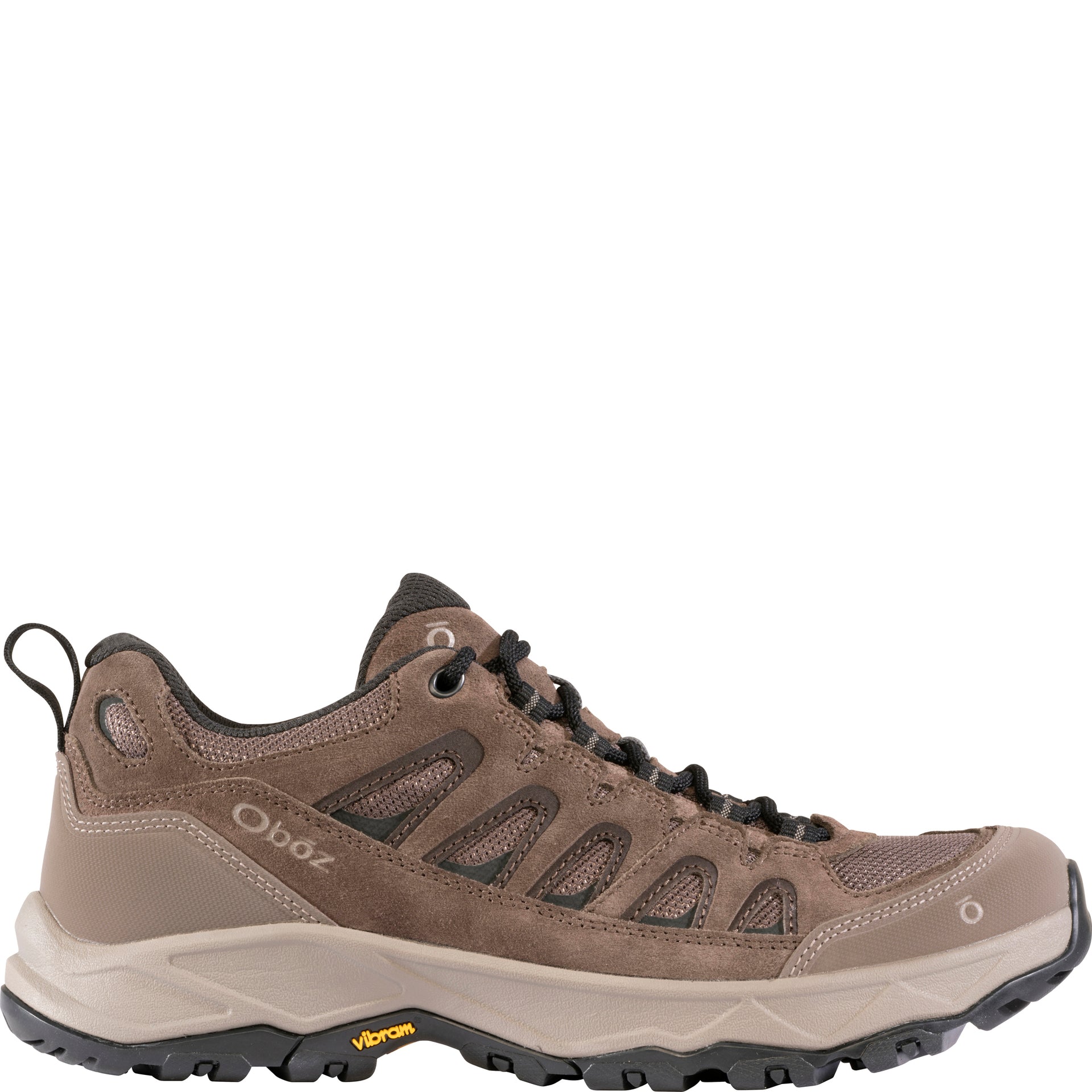 Men's Sawtooth Ascent Low