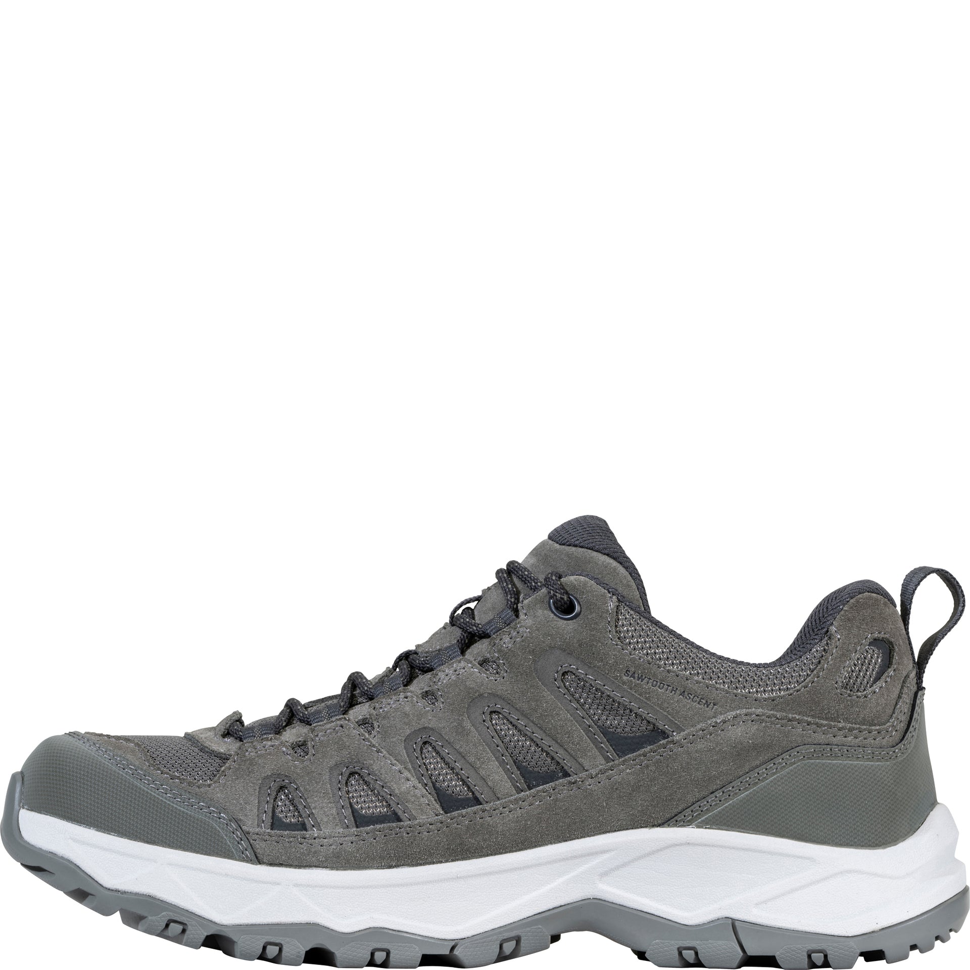 Men's Sawtooth Ascent Low