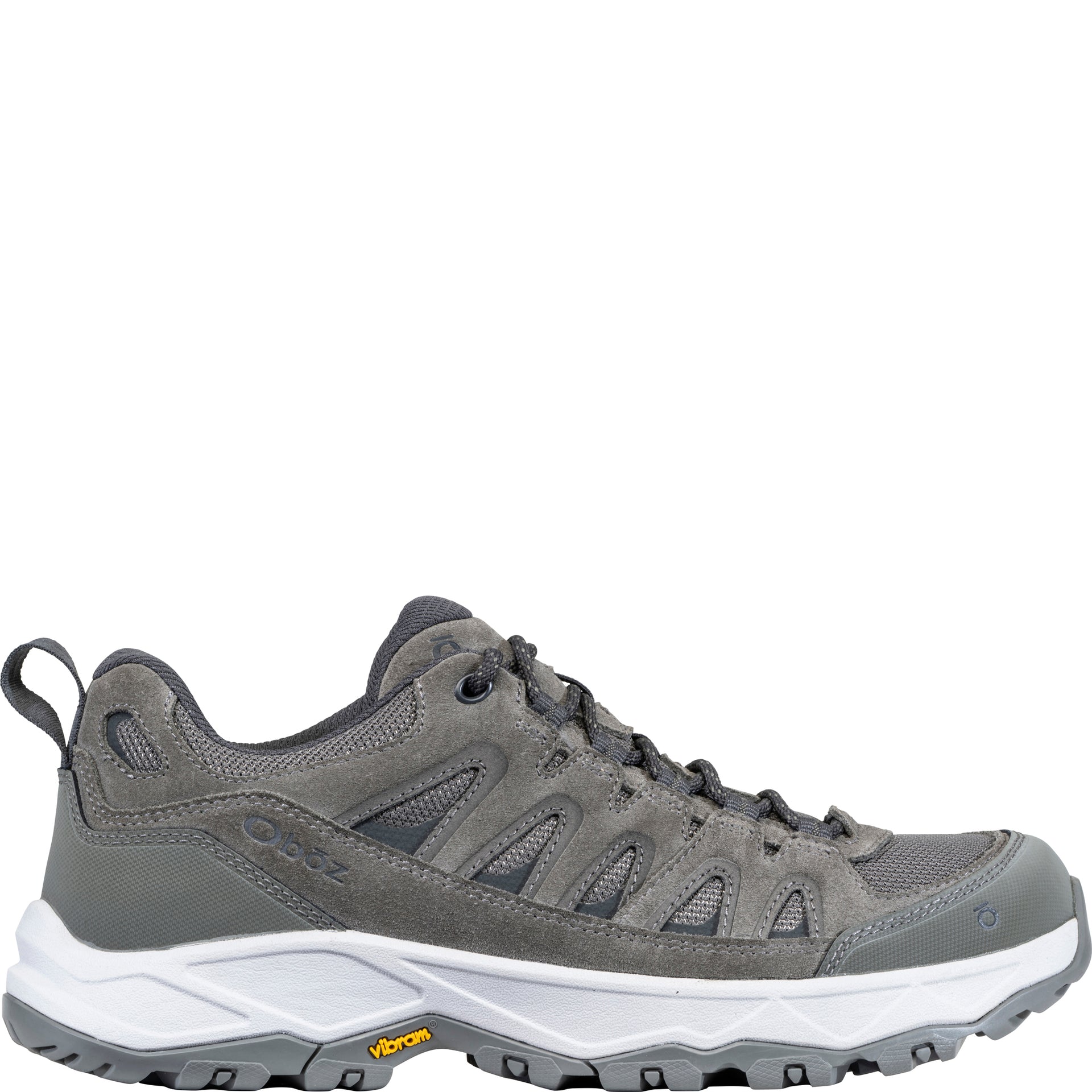 Men's Sawtooth Ascent Low