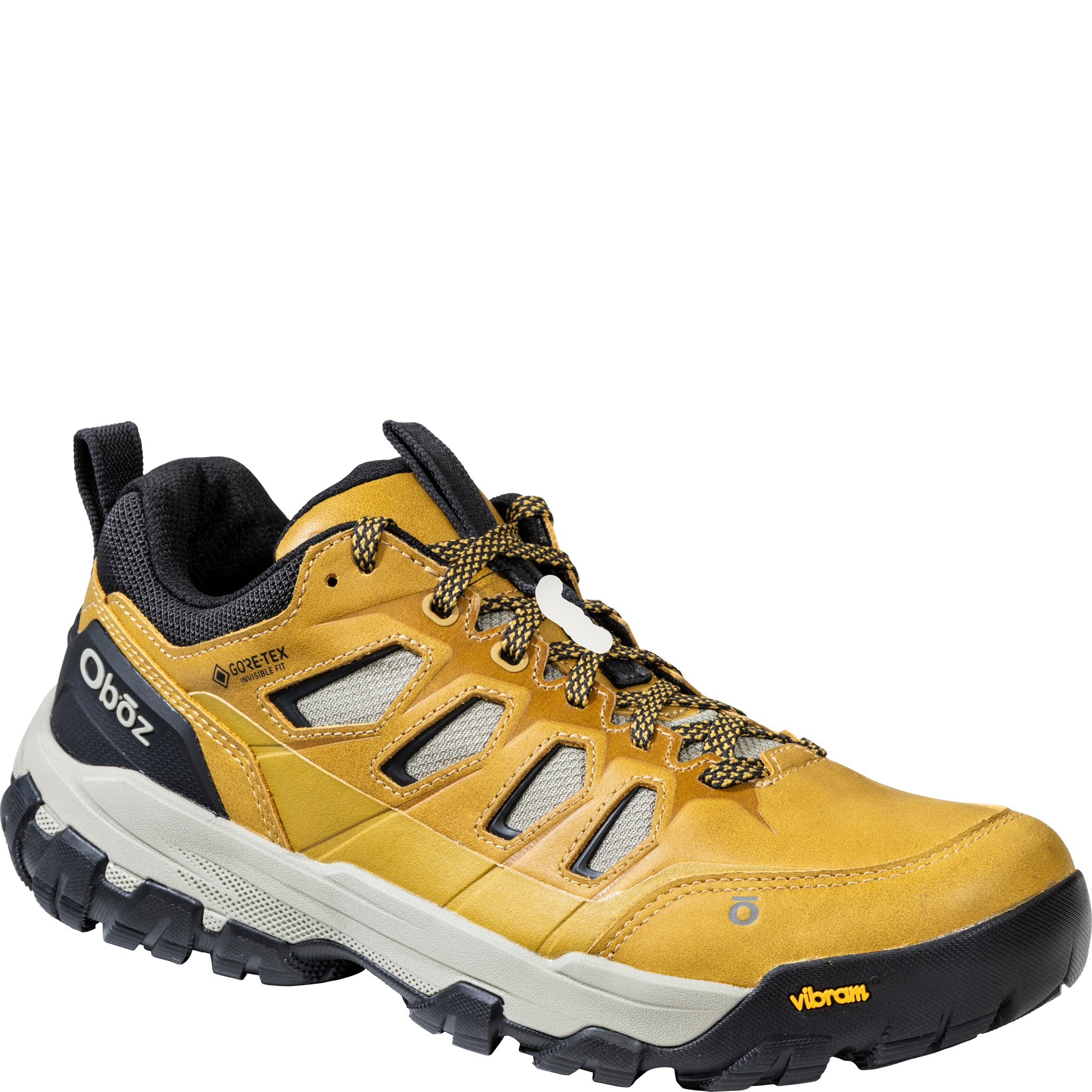 Mens Sawtooth X Pro Low GTX Waterproof | Oboz Footwear
