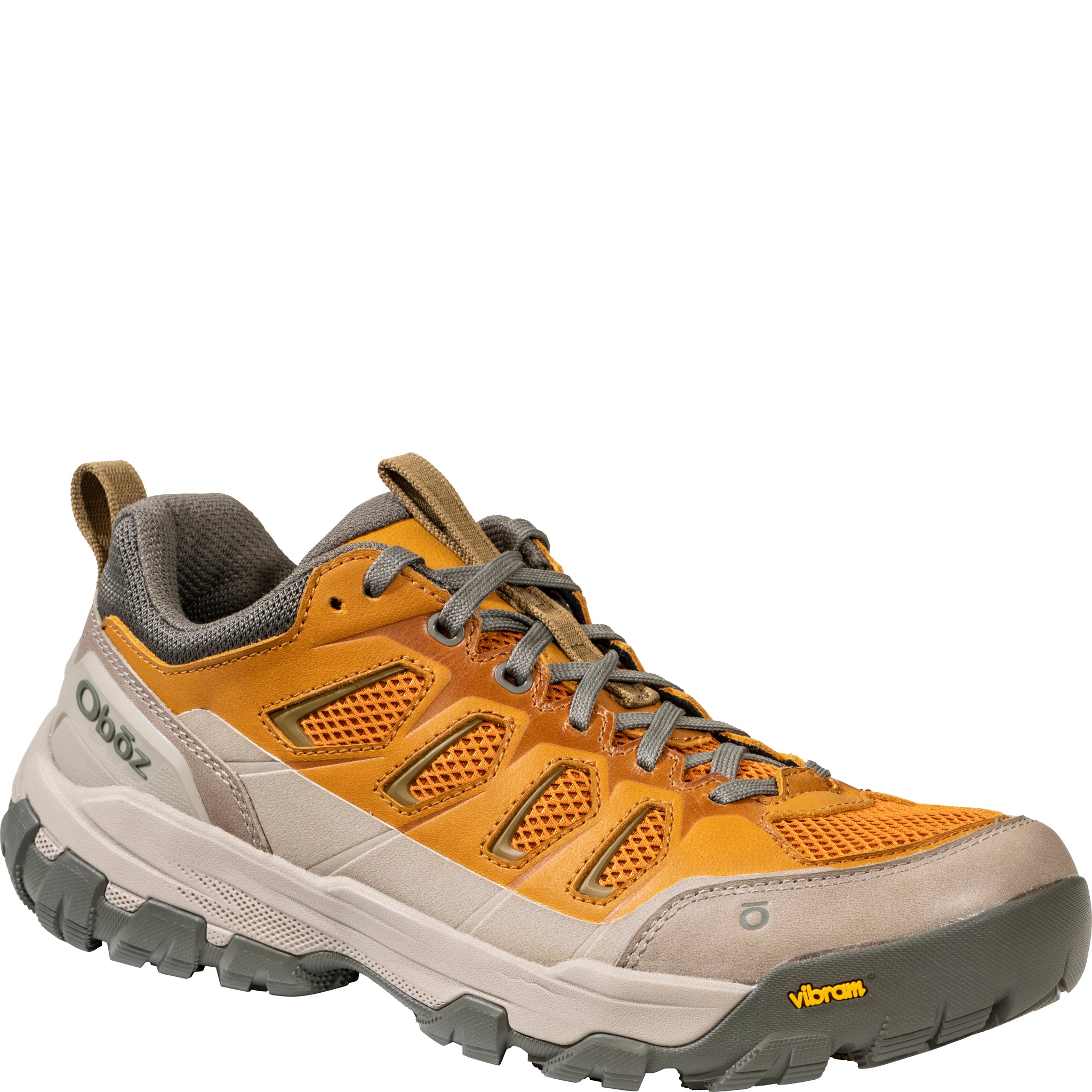 Men's Sawtooth X Pro Low | Oboz Footwear