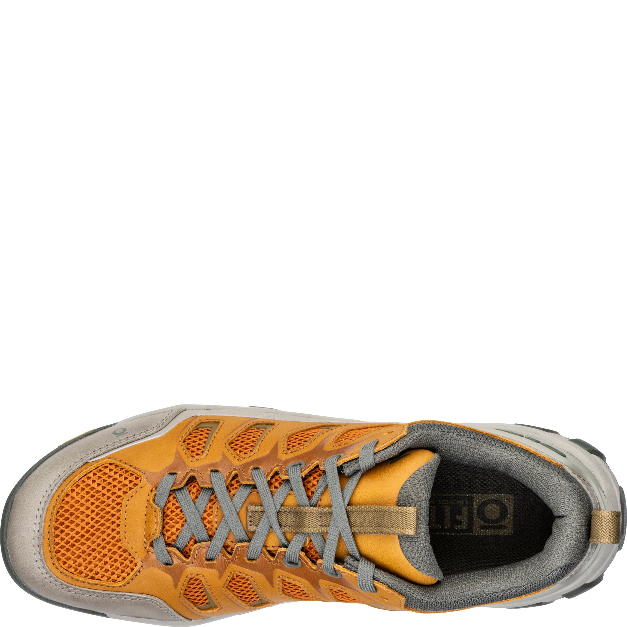 Men's Sawtooth X Pro Low | Oboz Footwear