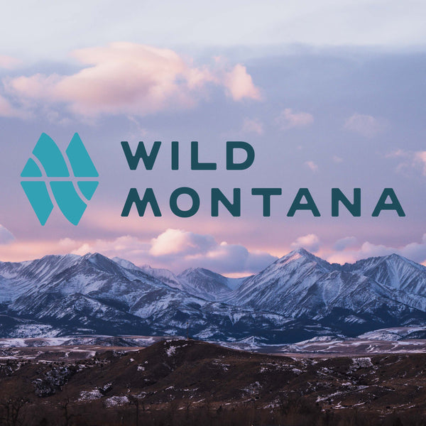 WILD MONTANA