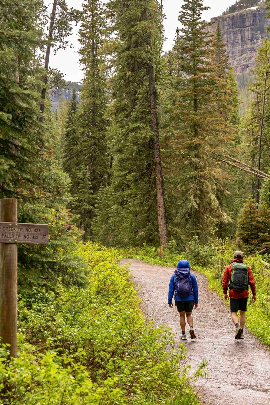 Two hikers walking on a trail through a forest with mountains in the background.
