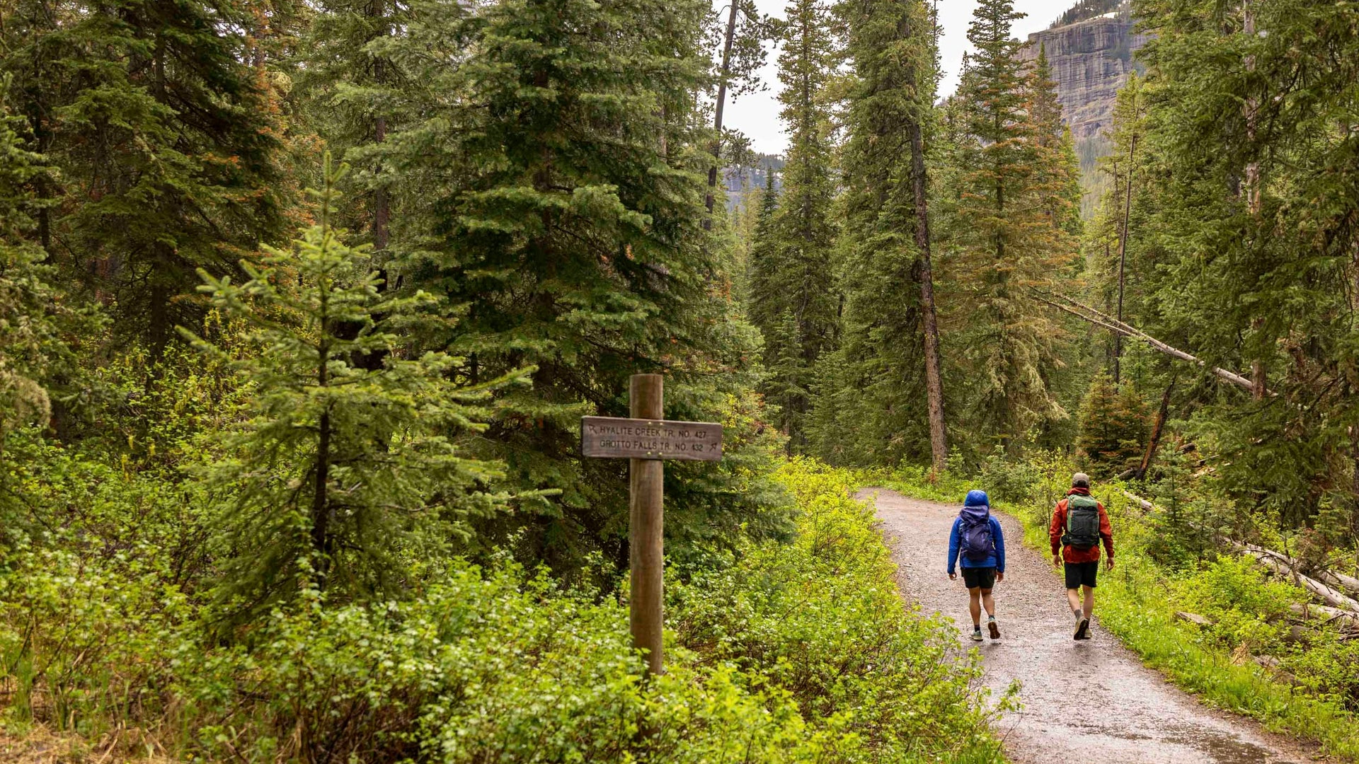 Two hikers walking on a trail through a forest with a wooden signpost in Hyalite Canyon.
