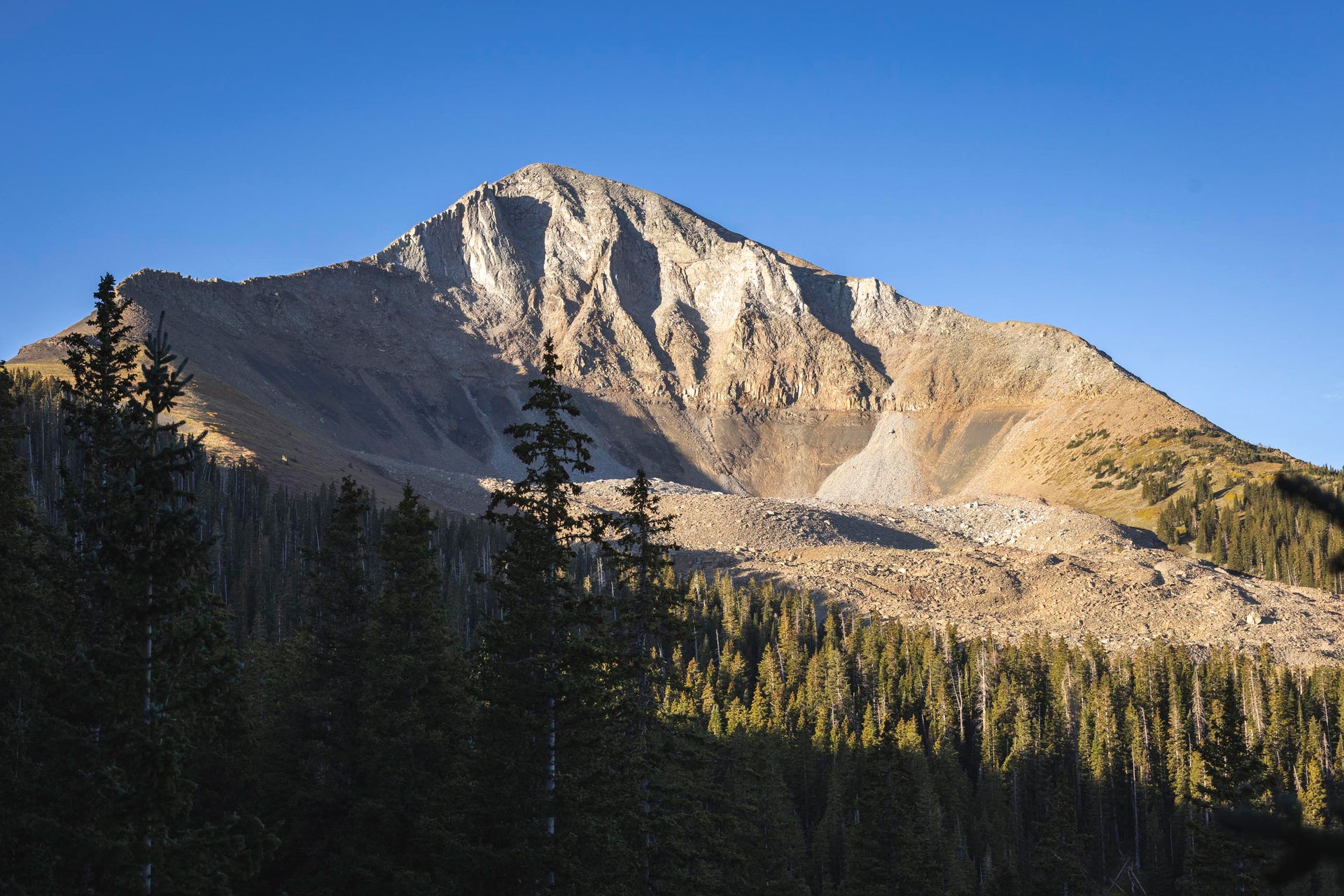 Mountain peak with trees in the foreground under a clear blue sky.