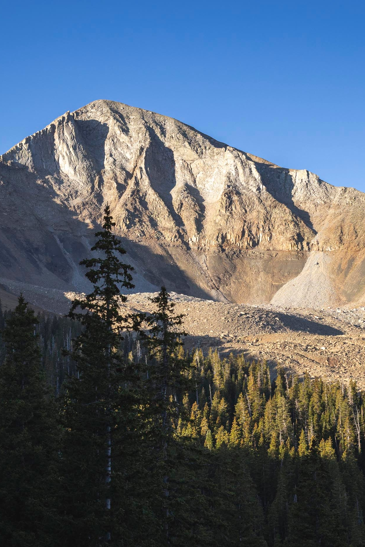 Mountain peak with trees in the foreground under a clear blue sky