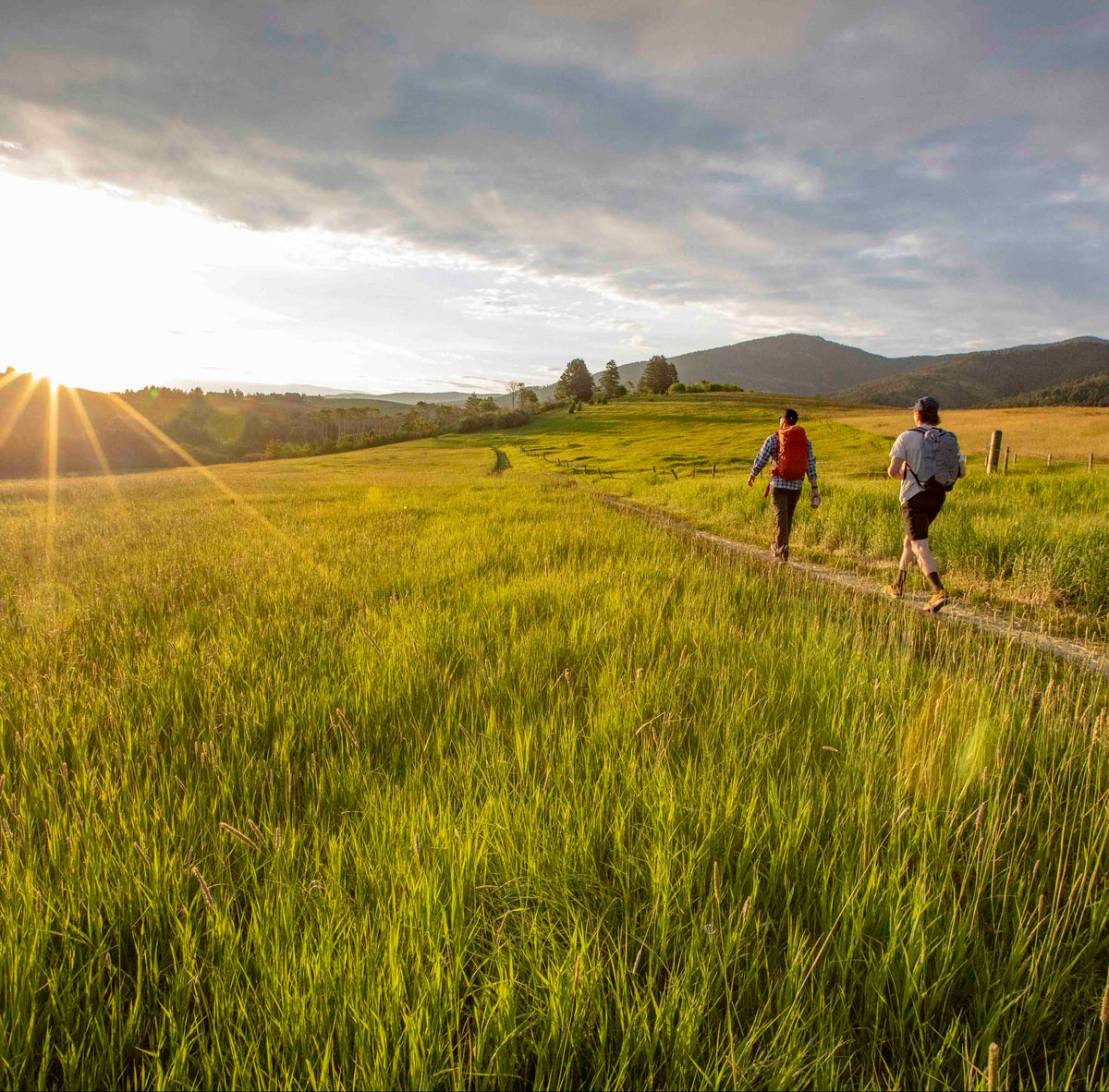 Two people walking along a dirt path in a grassy field with mountains in the background.