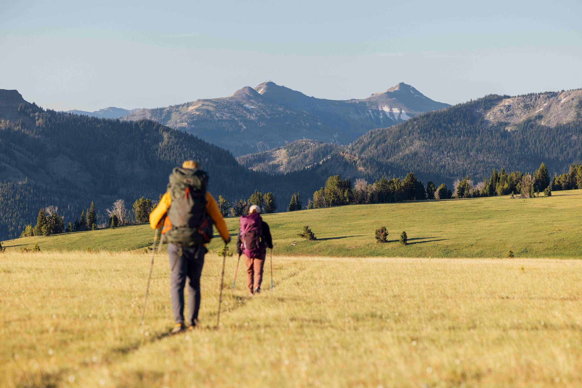 Two hikers walking through a grassy field with mountains in the background wearing Oboz Sawtooth X PRO hiking boots