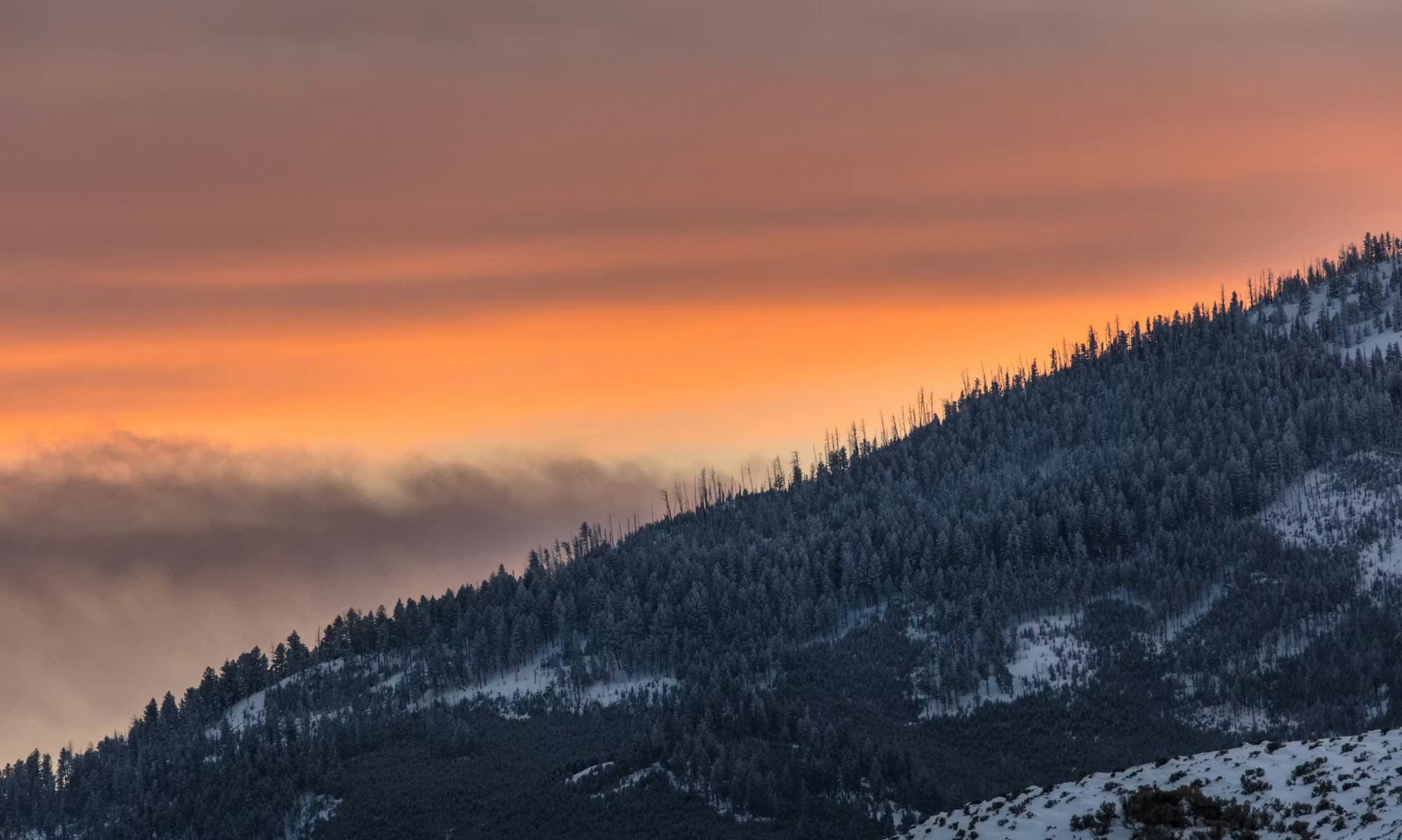 Mountain landscape with snow and trees at sunset, with an orange sky.