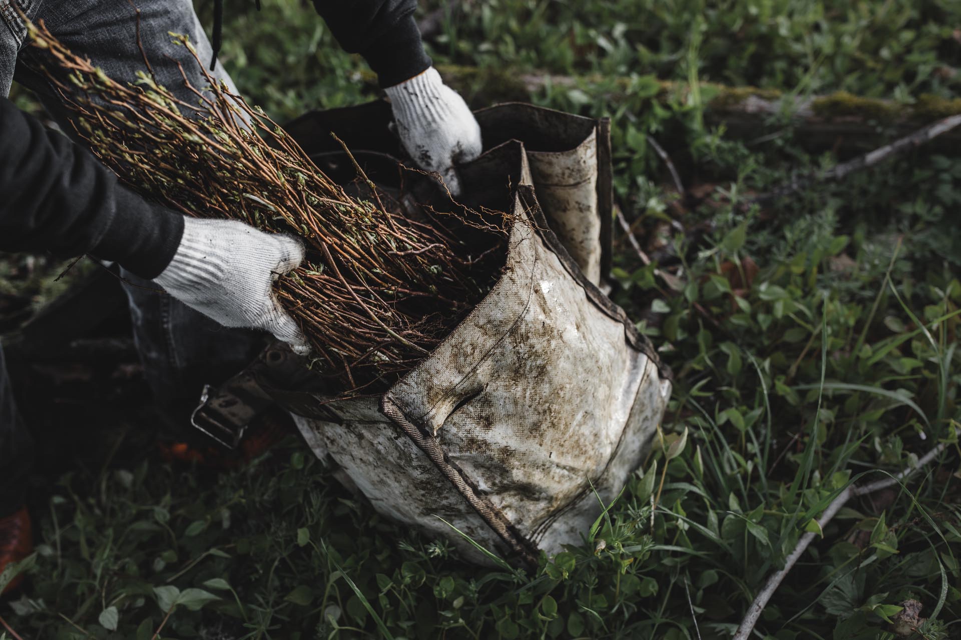 Person collecting twigs in a bag outdoors