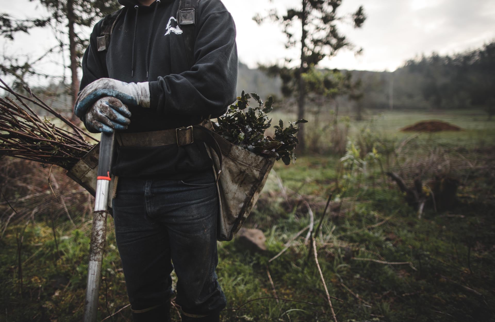 Man holding a shovel with a bag full of tree saplings.