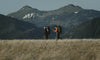 People hiking with backpacks in beautiful mountainous terrain showing the Oboz Sawtooth X Pro hiking boots.